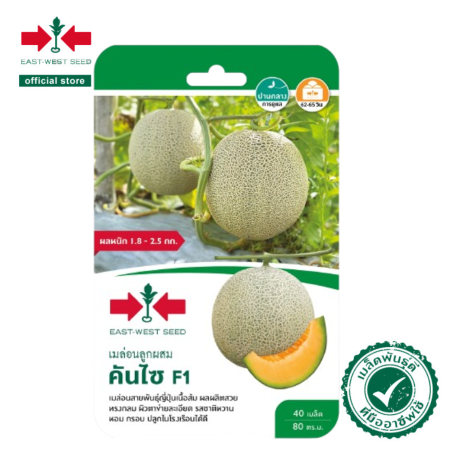 เมล็ดพันธุ์ เมล่อน คันไซ